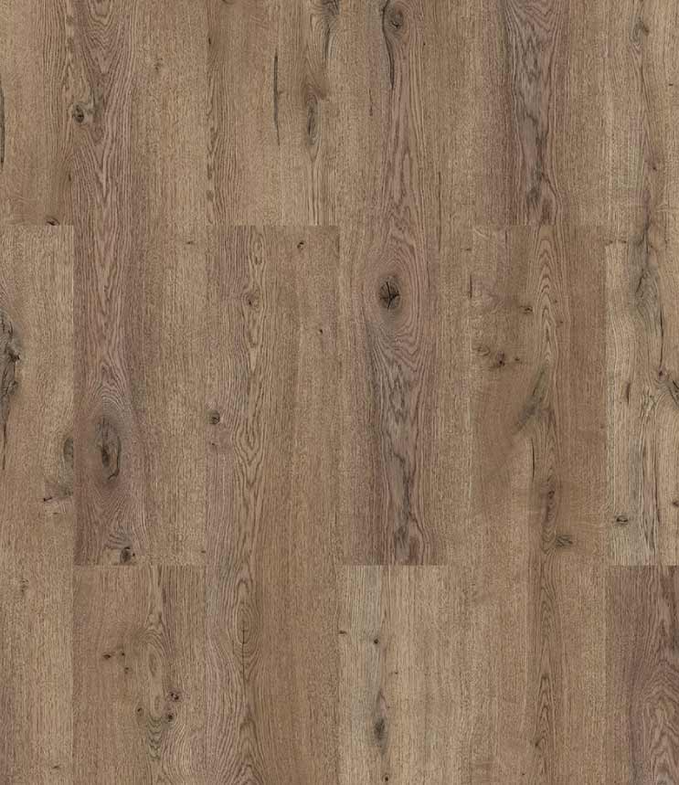 Summer Oak