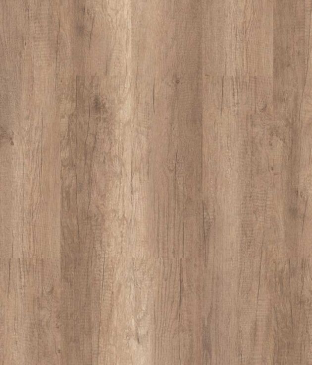 Alaska Oak