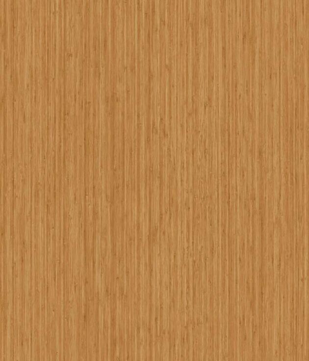Bamboo