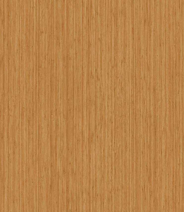 Bamboo