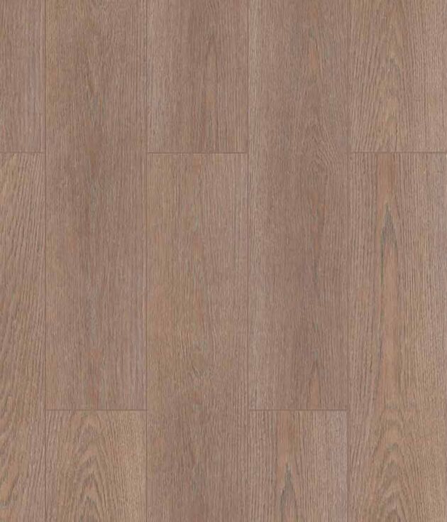Bronze Oak