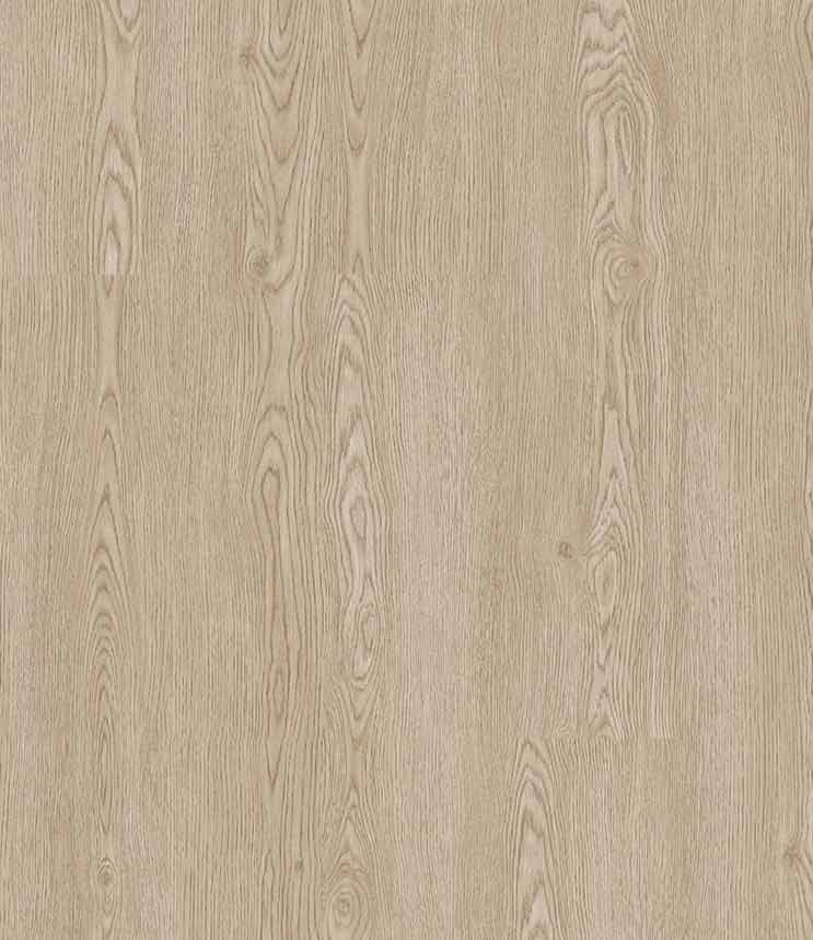 Canada Oak