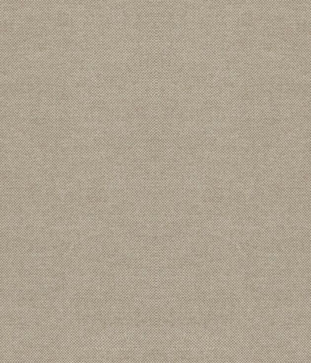Canvas Cream