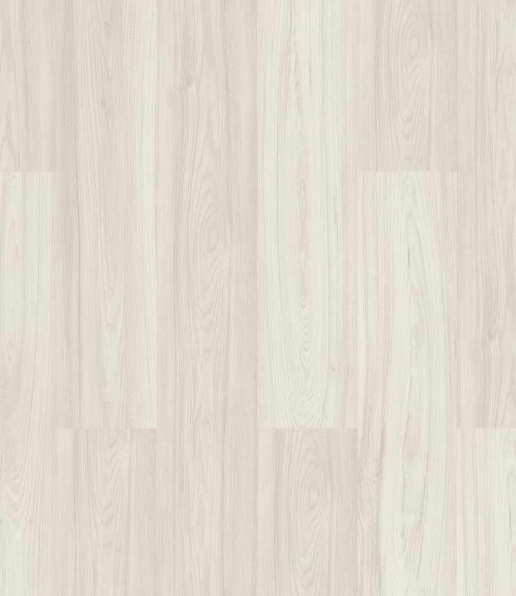 Century Oak