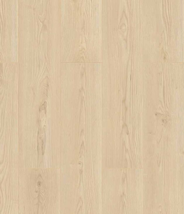 Dorsay Maple