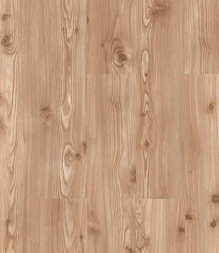 Gold Pine