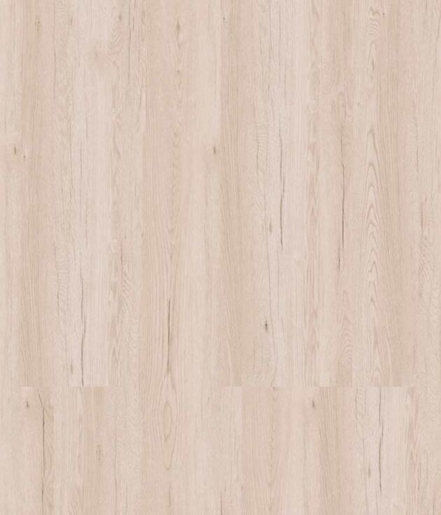 Izmir Oak