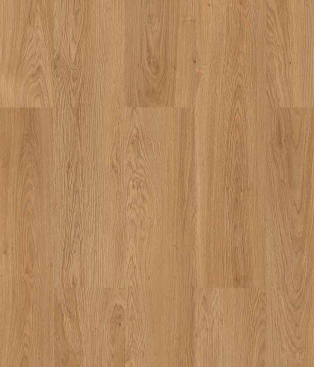 Salina Oak