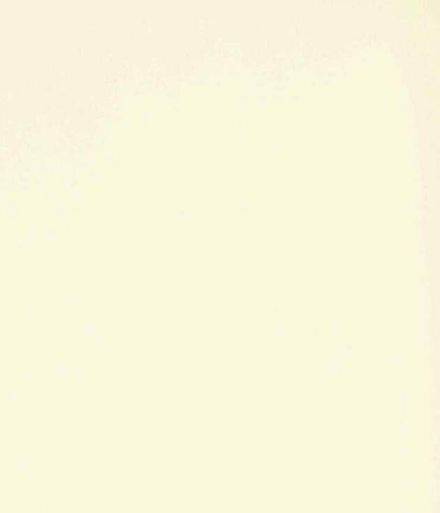 Sand Beige