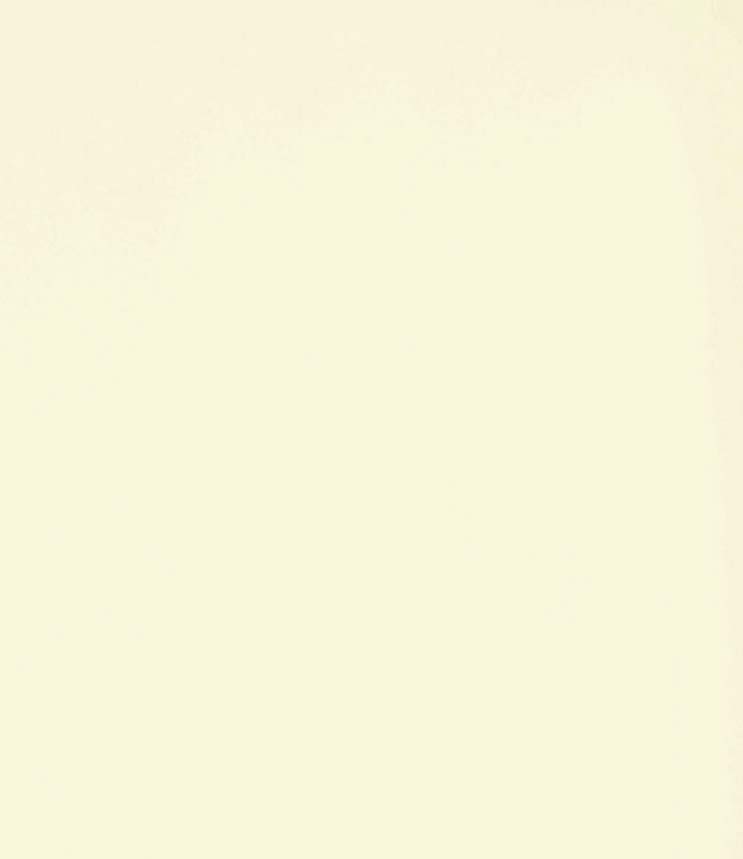 Sand Beige