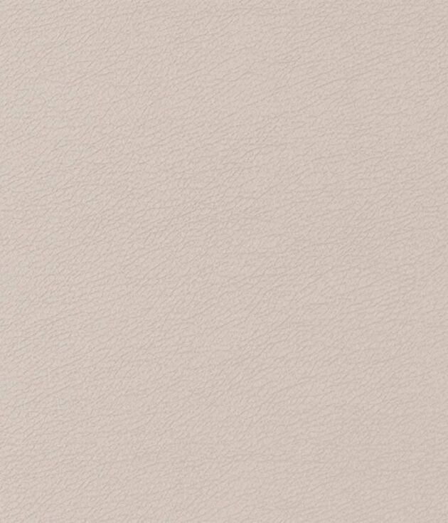 Vizon(Mink)